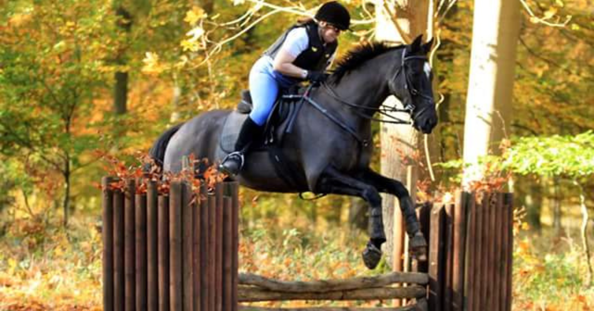 Preddy at Fun Ride